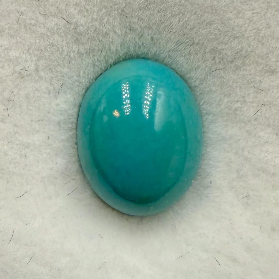Turquoise (1)